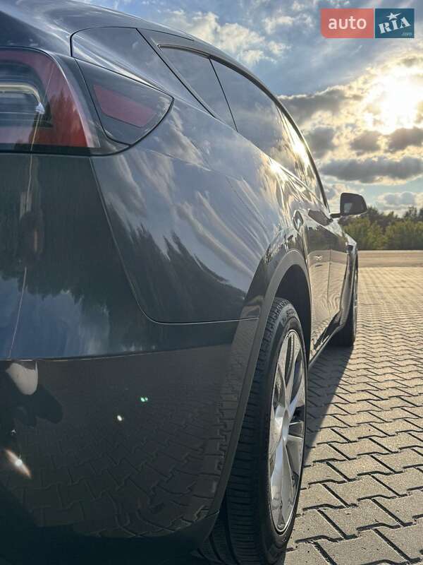 Позашляховик / Кросовер Tesla Model Y 2023 в Ковелі