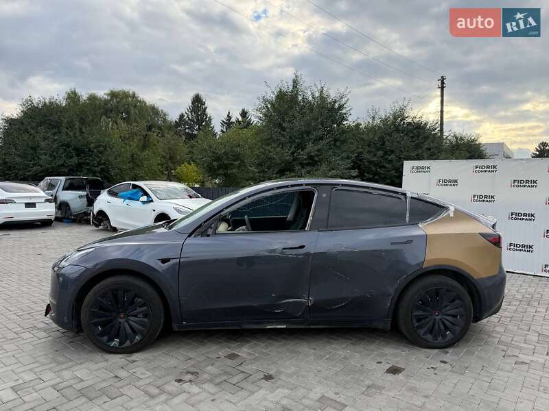 Позашляховик / Кросовер Tesla Model Y 2021 в Луцьку