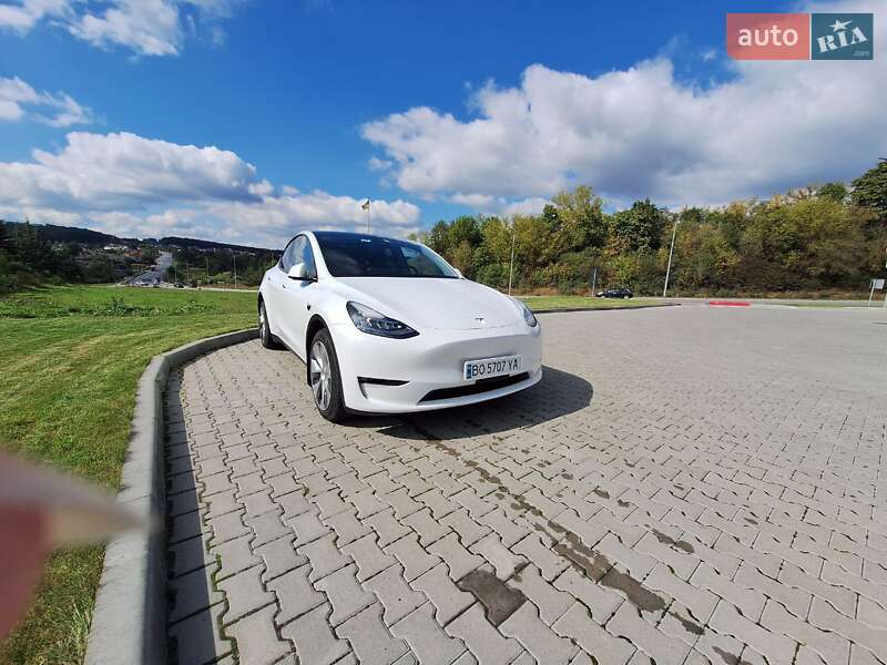 Внедорожник / Кроссовер Tesla Model Y 2021 в Тернополе