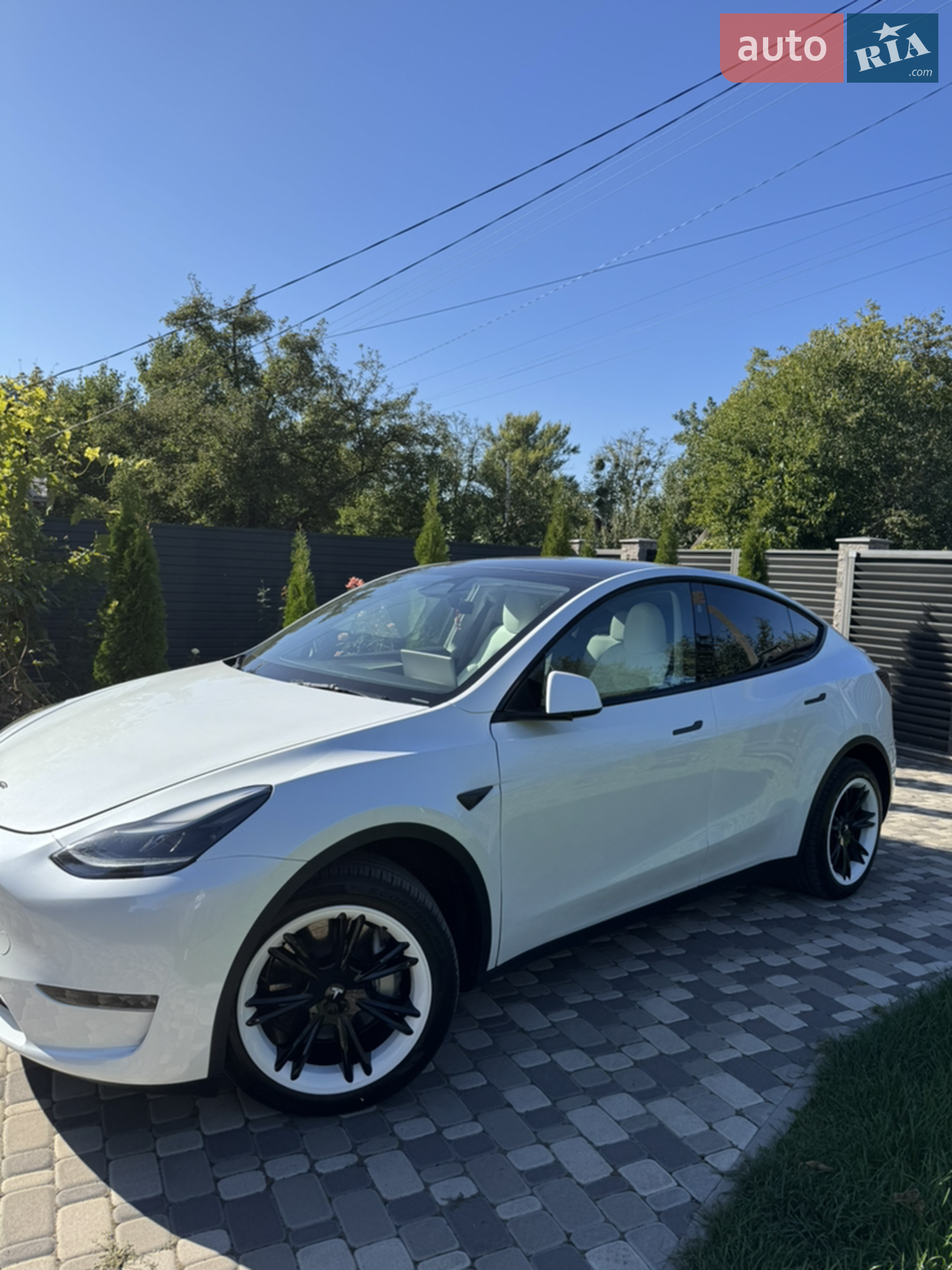 2024 Tesla Model Y - мініатюра 2