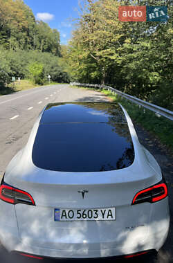 Позашляховик / Кросовер Tesla Model Y 2021 в Ужгороді