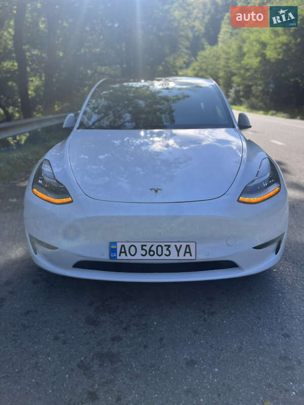 Внедорожник / Кроссовер Tesla Model Y 2021 в Ужгороде