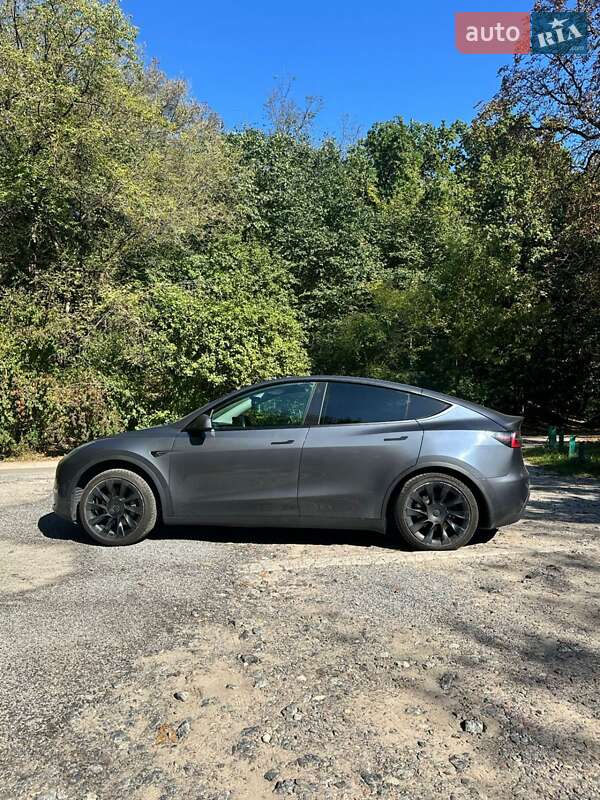 Внедорожник / Кроссовер Tesla Model Y 2021 в Киеве