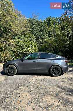 Позашляховик / Кросовер Tesla Model Y 2021 в 
