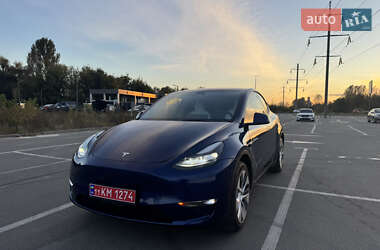 Внедорожник / Кроссовер Tesla Model Y 2023 в Ирпене