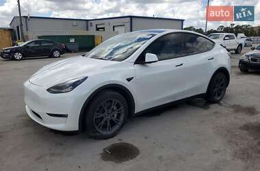 Tesla Model Y 2025