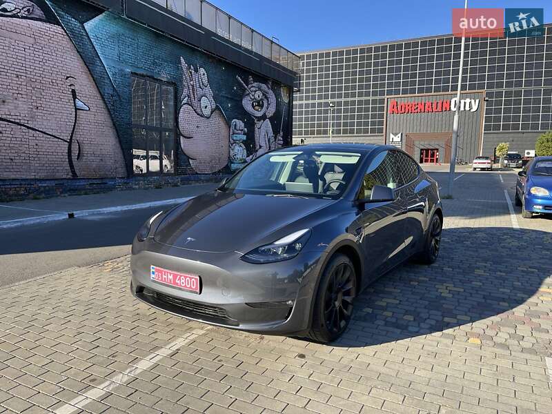 Внедорожник / Кроссовер Tesla Model Y 2023 в Луцке