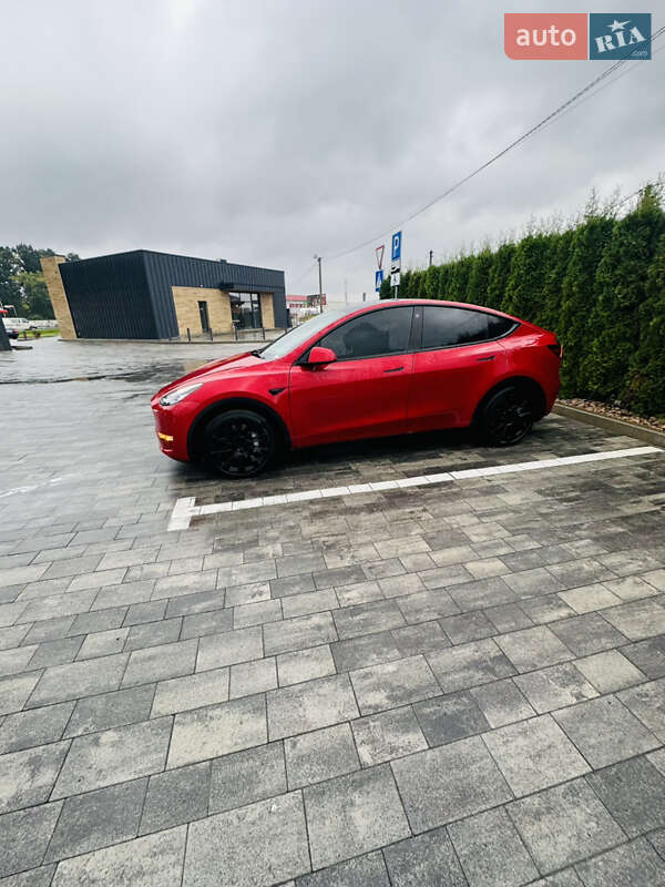 Позашляховик / Кросовер Tesla Model Y 2021 в Луцьку