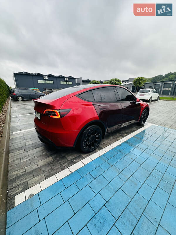 Позашляховик / Кросовер Tesla Model Y 2021 в Луцьку
