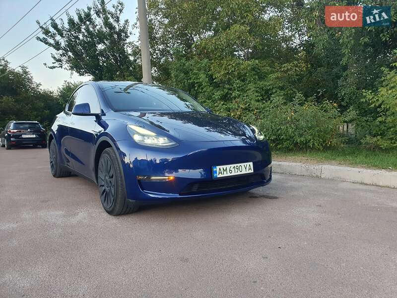 Внедорожник / Кроссовер Tesla Model Y 2023 в Житомире