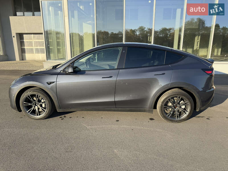 Внедорожник / Кроссовер Tesla Model Y 2022 в Днепре
