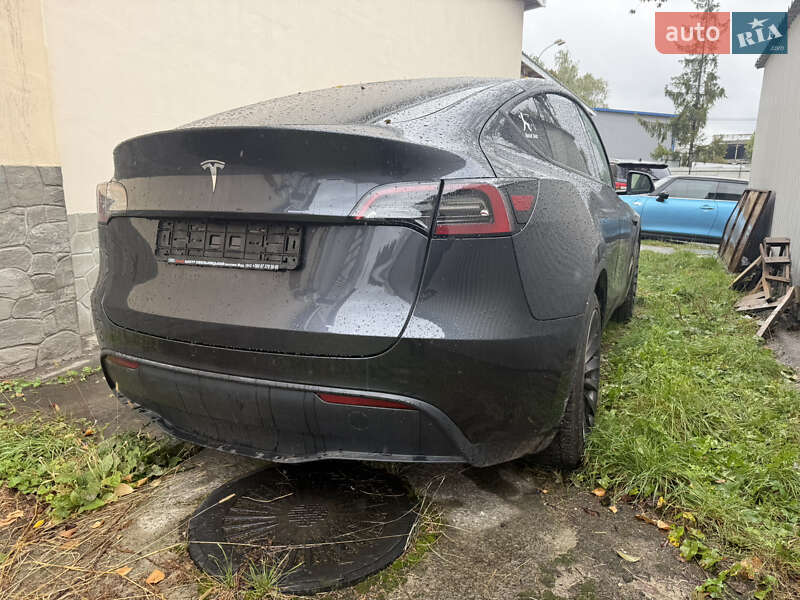 Внедорожник / Кроссовер Tesla Model Y 2024 в Хмельницком