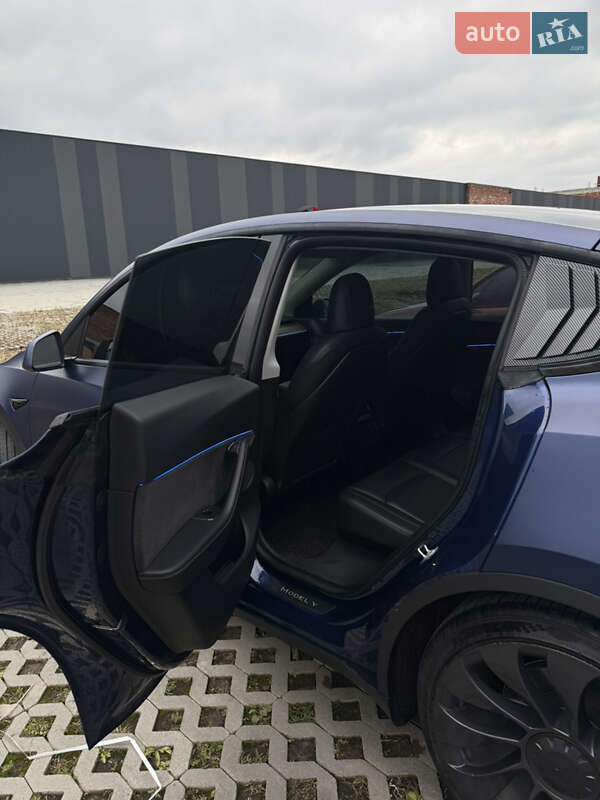 Внедорожник / Кроссовер Tesla Model Y 2021 в Хмельницком