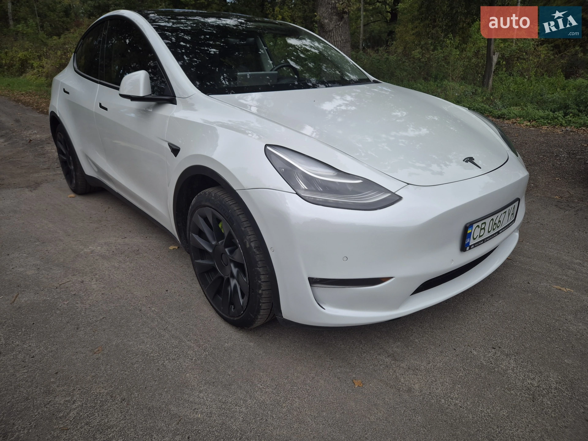2020 Tesla Model Y - мініатюра 6