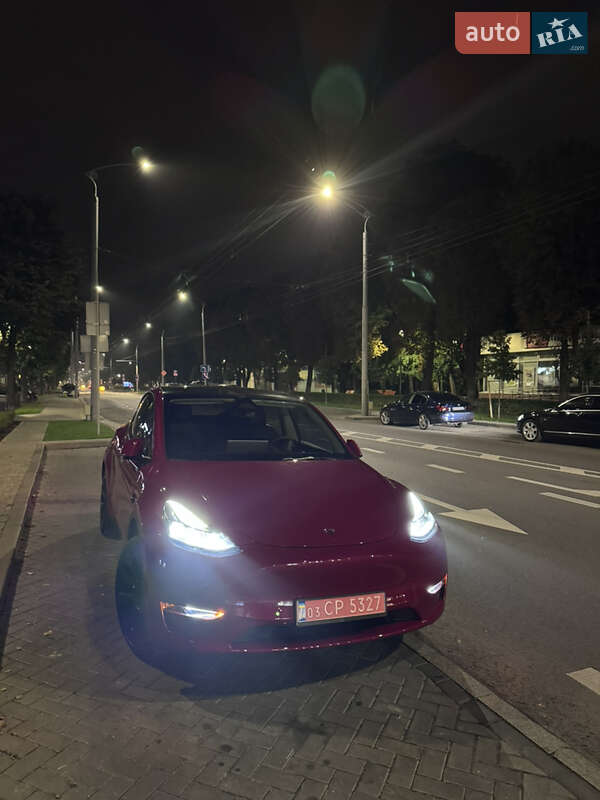 Позашляховик / Кросовер Tesla Model Y 2023 в Луцьку