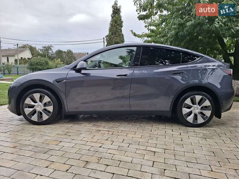 Позашляховик / Кросовер Tesla Model Y 2023 в Києві
