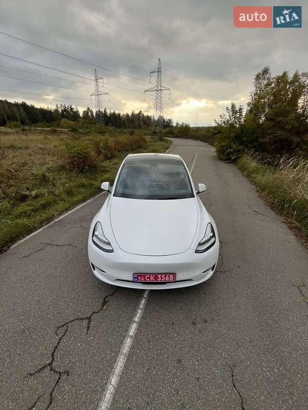 Внедорожник / Кроссовер Tesla Model Y 2021 в Макарове фото 7 Внедорожник / Кроссовер Tesla Model Y 2021 в Макарове