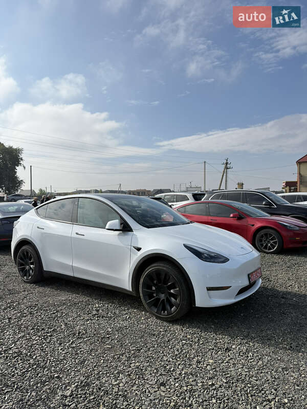 Позашляховик / Кросовер Tesla Model Y 2023 в Луцьку