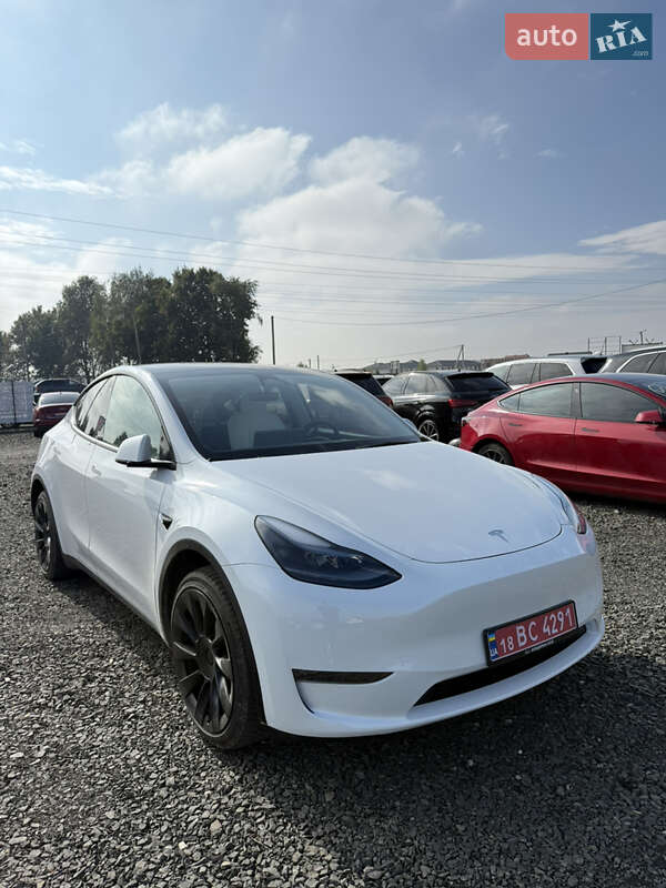 Позашляховик / Кросовер Tesla Model Y 2023 в Луцьку