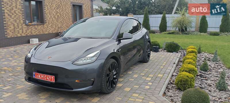 Внедорожник / Кроссовер Tesla Model Y 2022 в Верхнеднепровске