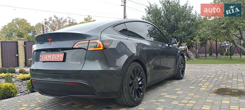 Внедорожник / Кроссовер Tesla Model Y 2022 в Верхнеднепровске