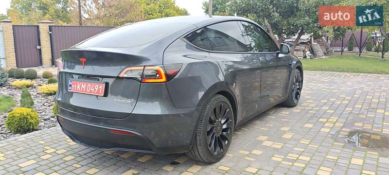 Внедорожник / Кроссовер Tesla Model Y 2022 в Верхнеднепровске
