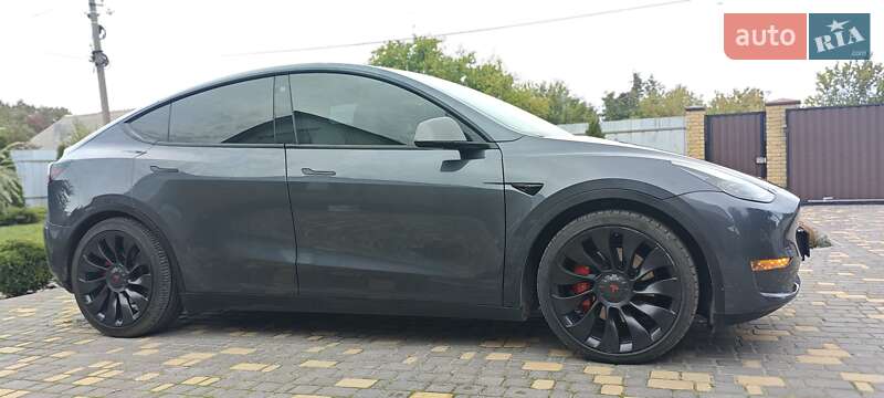 Внедорожник / Кроссовер Tesla Model Y 2022 в Верхнеднепровске