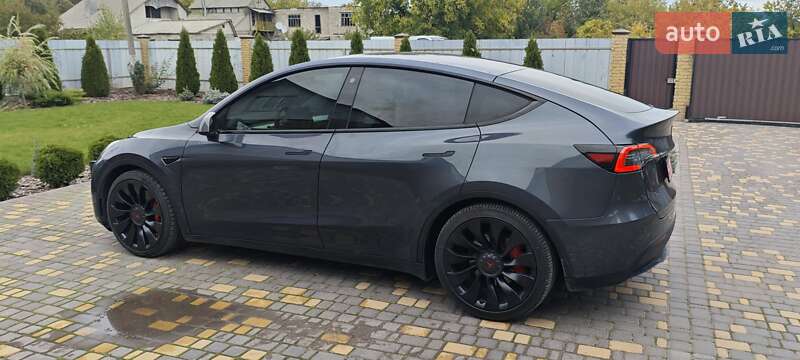 Внедорожник / Кроссовер Tesla Model Y 2022 в Верхнеднепровске