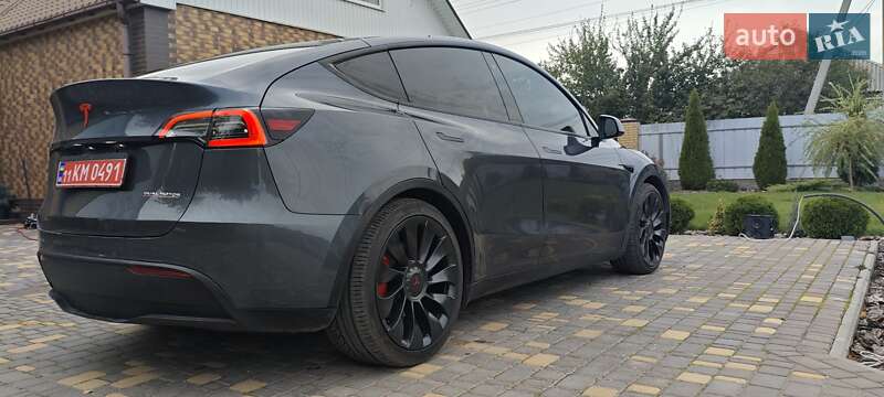 Внедорожник / Кроссовер Tesla Model Y 2022 в Верхнеднепровске