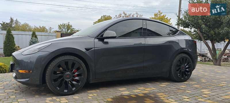 Внедорожник / Кроссовер Tesla Model Y 2022 в Верхнеднепровске