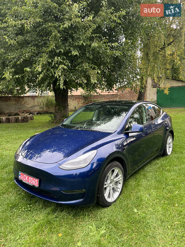 Позашляховик / Кросовер Tesla Model Y 2023 в Львові