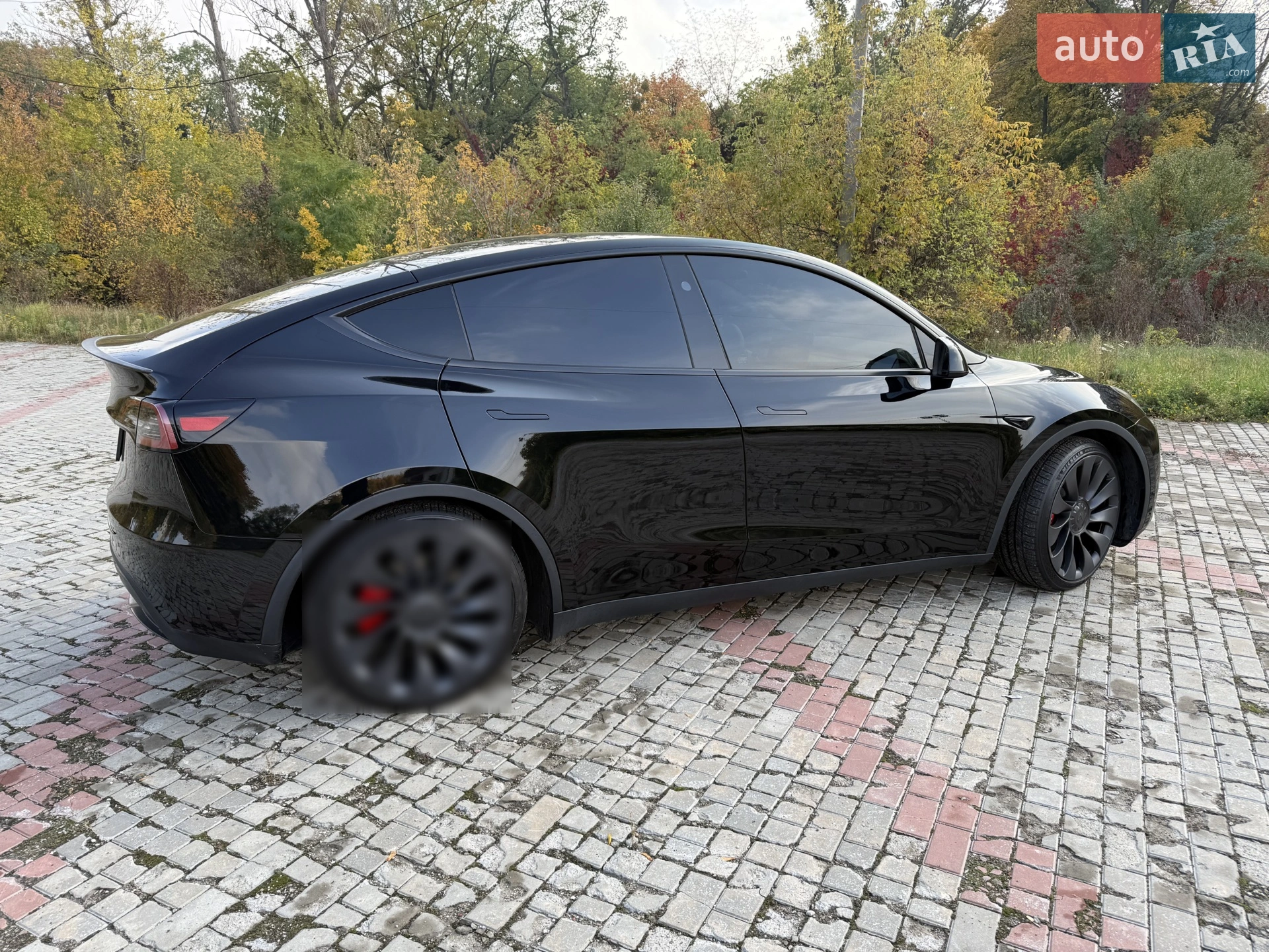 2023 Tesla Model Y - мініатюра 6
