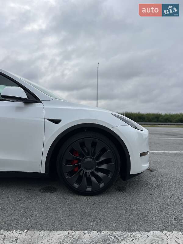 Позашляховик / Кросовер Tesla Model Y 2023 в Звягелі