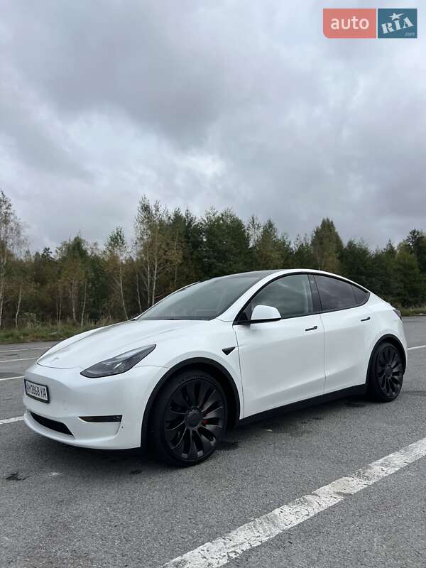 Позашляховик / Кросовер Tesla Model Y 2023 в Звягелі