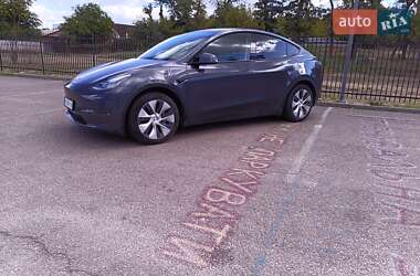 Внедорожник / Кроссовер Tesla Model Y 2021 в Днепре