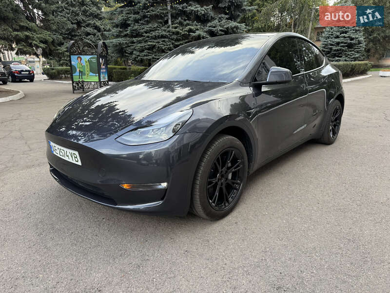 Позашляховик / Кросовер Tesla Model Y 2024 в Кам'янському