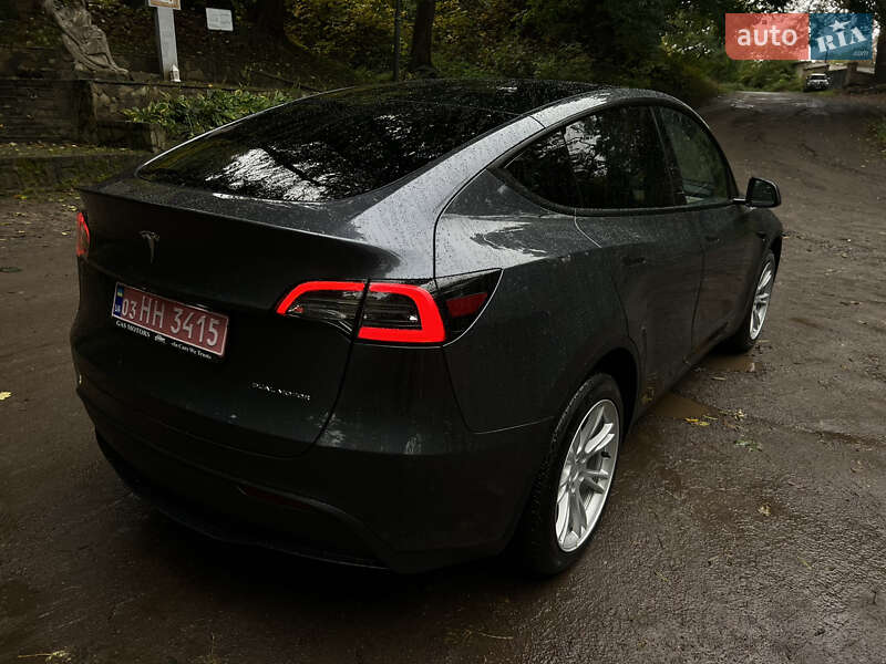 Позашляховик / Кросовер Tesla Model Y 2023 в Львові