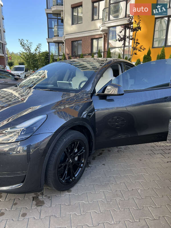 Позашляховик / Кросовер Tesla Model Y 2024 в Києві