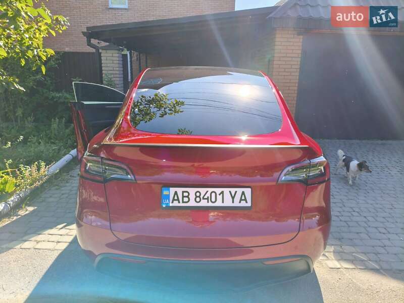 Внедорожник / Кроссовер Tesla Model Y 2024 в Виннице