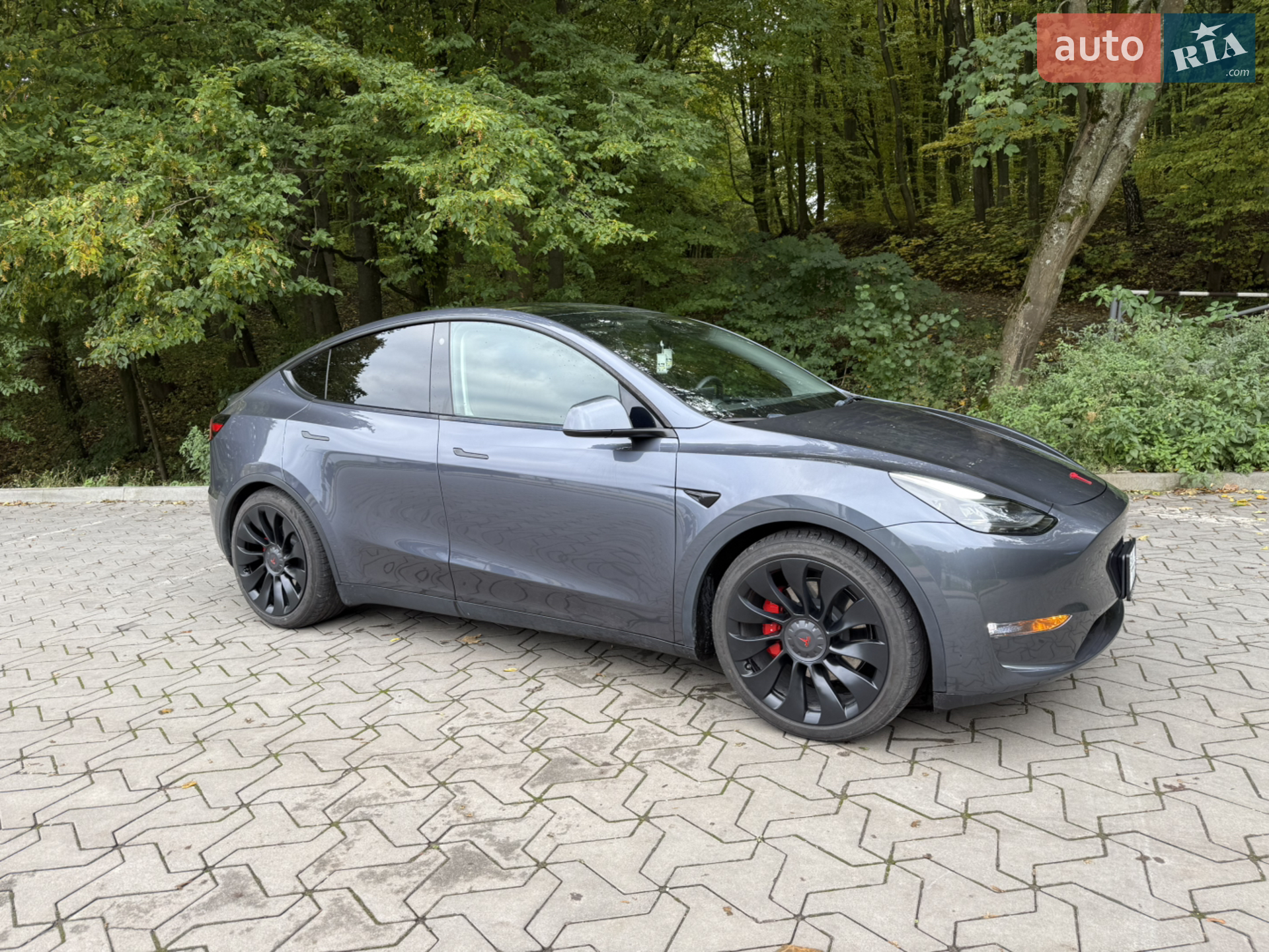 2023 Tesla Model Y - мініатюра 9