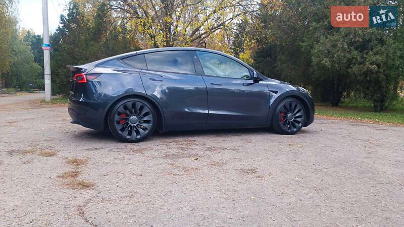 Внедорожник / Кроссовер Tesla Model Y 2024 в Харькове