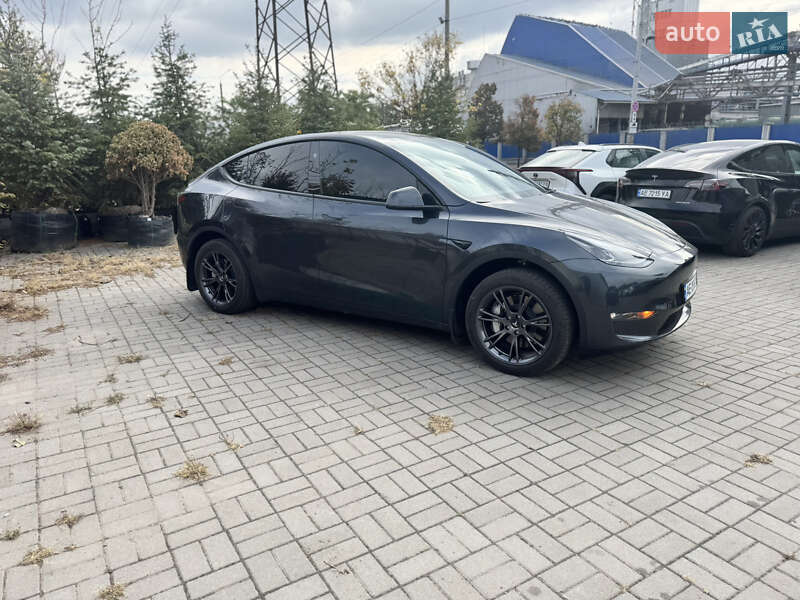 Позашляховик / Кросовер Tesla Model Y 2024 в Дніпрі