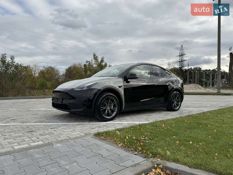 Внедорожник / Кроссовер Tesla Model Y 2024 в Сарнах