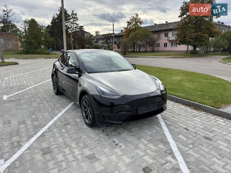 Внедорожник / Кроссовер Tesla Model Y 2024 в Сарнах