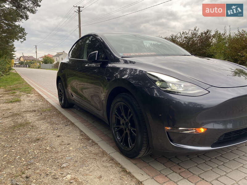 Позашляховик / Кросовер Tesla Model Y 2024 в Львові