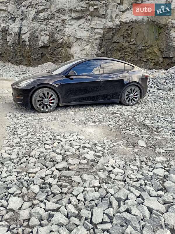 Внедорожник / Кроссовер Tesla Model Y 2021 в Днепре