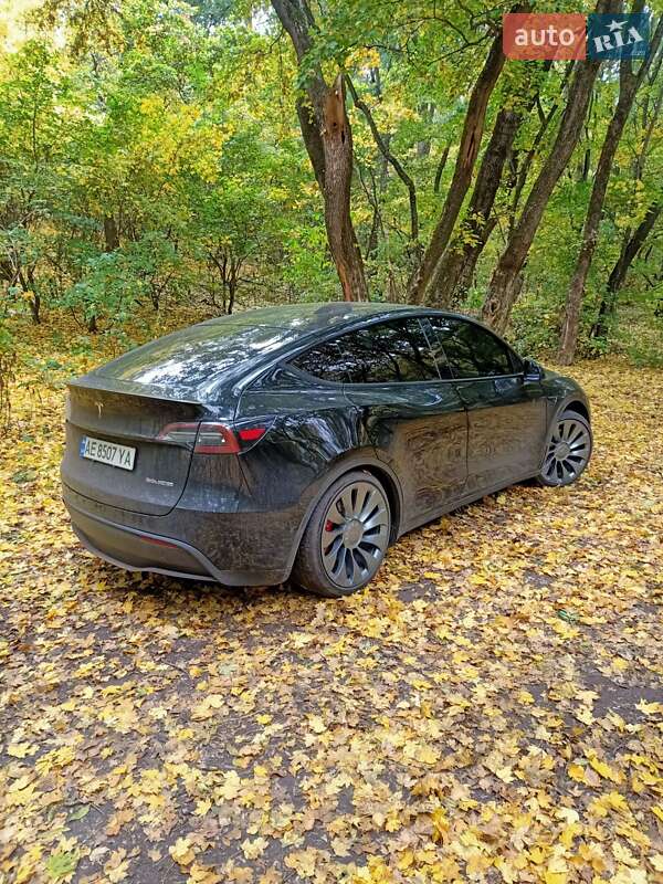 Внедорожник / Кроссовер Tesla Model Y 2021 в Днепре
