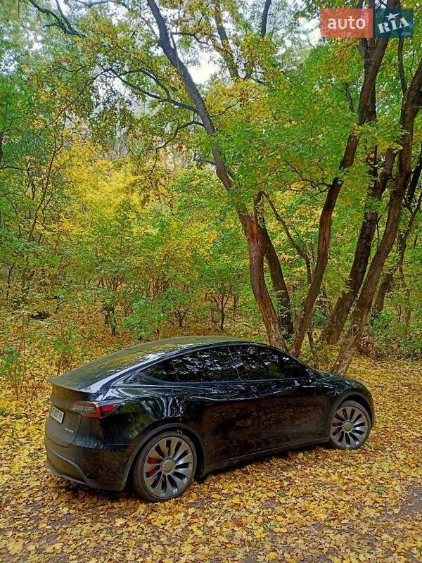 Внедорожник / Кроссовер Tesla Model Y 2021 в Днепре