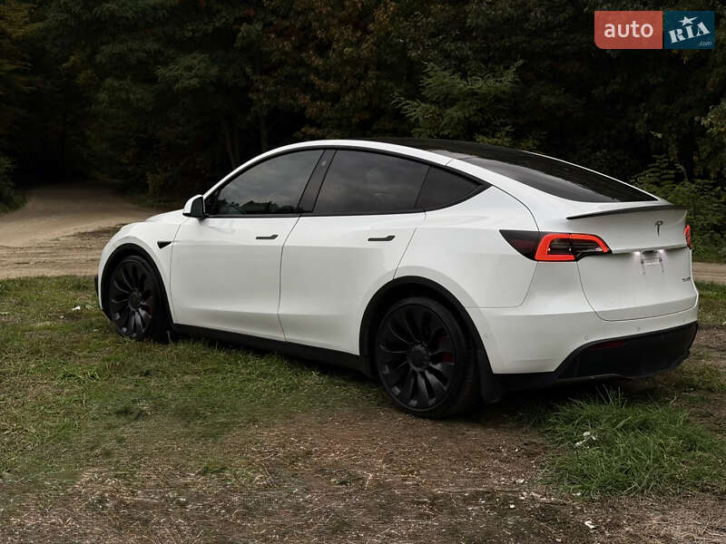 Позашляховик / Кросовер Tesla Model Y 2022 в Городку фото 9 Позашляховик / Кросовер Tesla Model Y 2022 в Городку