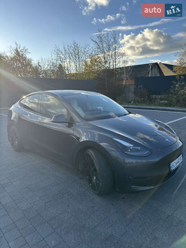 Позашляховик / Кросовер Tesla Model Y 2022 в Львові